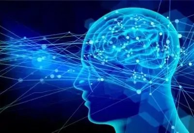 首次证明人脑细胞在体外也有智力:可在培养皿中打游戏,这意味着啥?