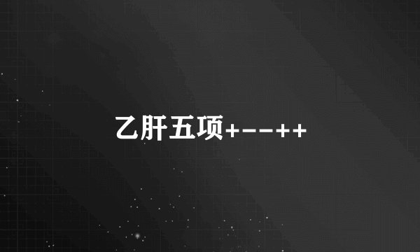 乙肝五项+--++