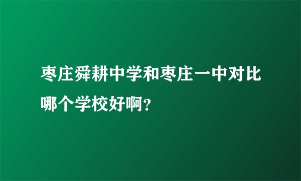 枣庄舜耕中学和枣庄一中对比哪个学校好啊？