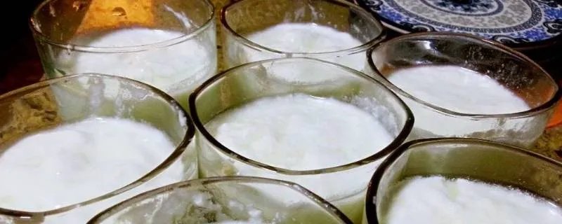面包机怎么做酸奶