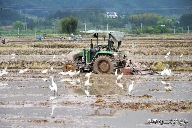 雨水落雨三大碗 大河小河都要满 说的是哪个季节