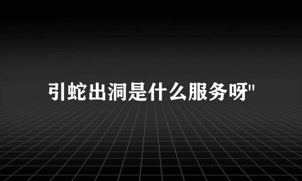 引蛇出洞是什么服务呀