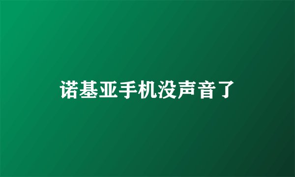 诺基亚手机没声音了
