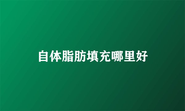 自体脂肪填充哪里好