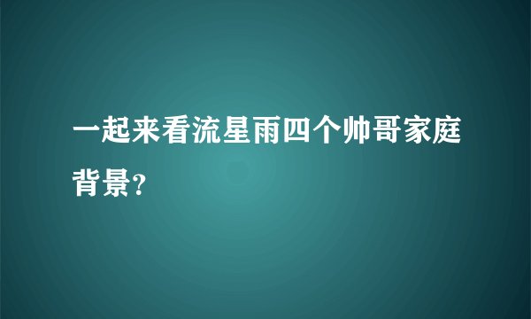 一起来看流星雨四个帅哥家庭背景？
