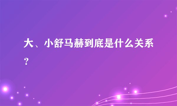 大、小舒马赫到底是什么关系?