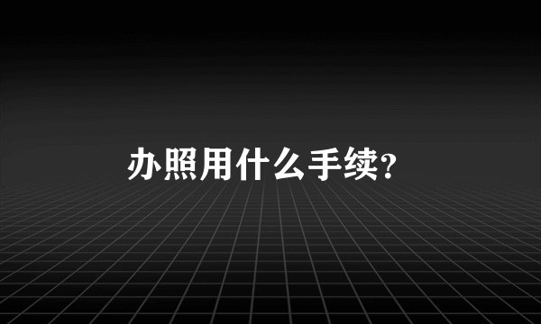 办照用什么手续？