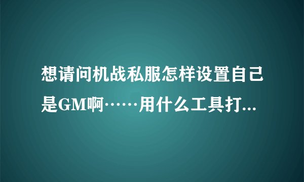 想请问机战私服怎样设置自己是GM啊……用什么工具打开啊……我是新手……请高手逐一解答