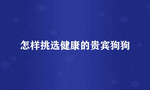怎样挑选健康的贵宾狗狗