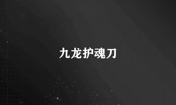 九龙护魂刀