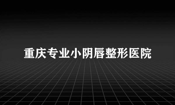 重庆专业小阴唇整形医院