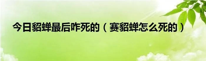 今日貂蝉最后咋死的（赛貂蝉怎么死的）