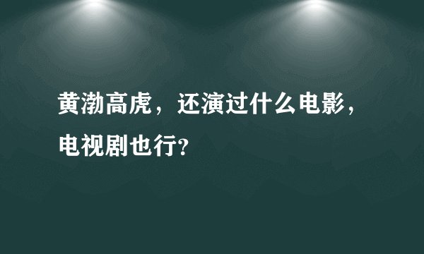 黄渤高虎，还演过什么电影，电视剧也行？