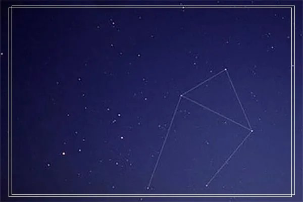 梦见黄瓜