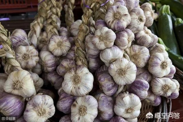 大蒜陆续上市,今年下半年我国大蒜价格会一直突飞猛进吗?