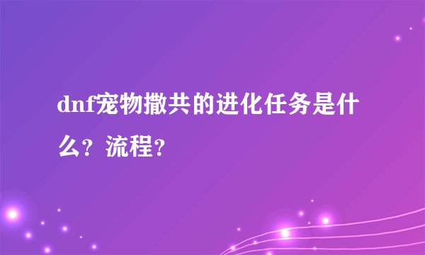 dnf宠物撒共的进化任务是什么？流程？