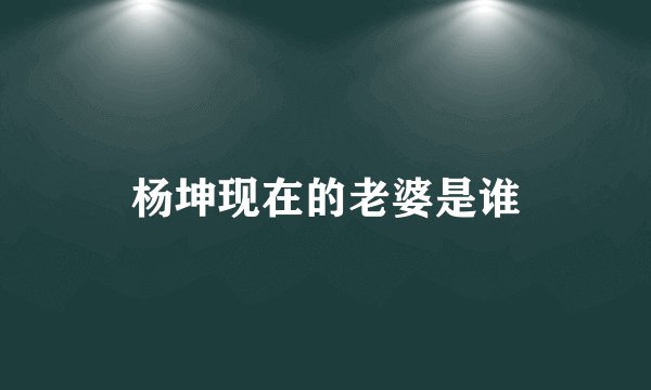 杨坤现在的老婆是谁