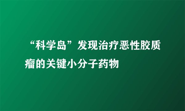 “科学岛”发现治疗恶性胶质瘤的关键小分子药物