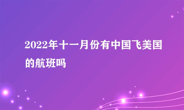 2022年十一月份有中国飞美国的航班吗