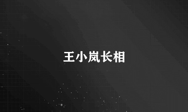 王小岚长相