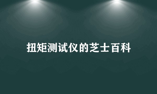 扭矩测试仪的芝士百科