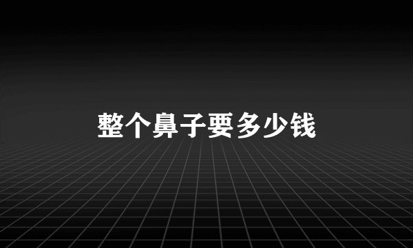 整个鼻子要多少钱