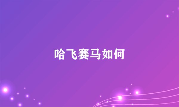 哈飞赛马如何