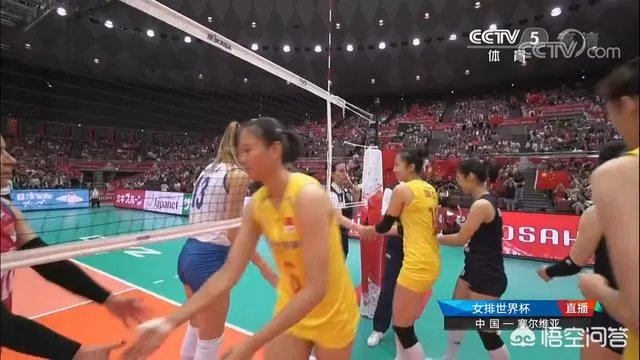 十全十美!中国女排3比0战胜塞尔维亚,豪取十连胜,提前拿到世界杯冠军,怎么看?