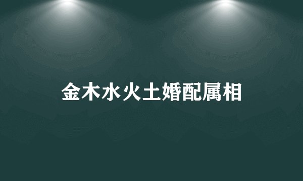 金木水火土婚配属相