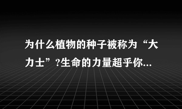 为什么植物的种子被称为“大力士”?生命的力量超乎你的想象呀？
