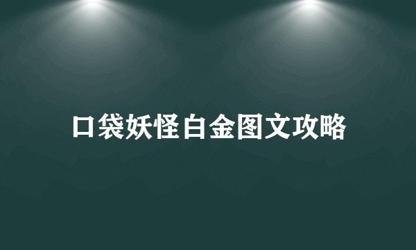 口袋妖怪白金图文攻略