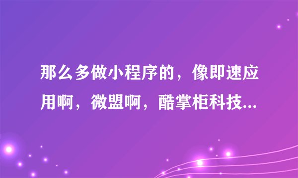 那么多做小程序的,像即速应用啊,微盟啊,酷掌柜科技啊,要选哪一个啊?