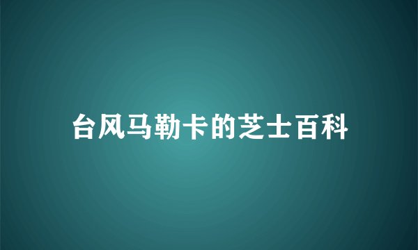 台风马勒卡的芝士百科