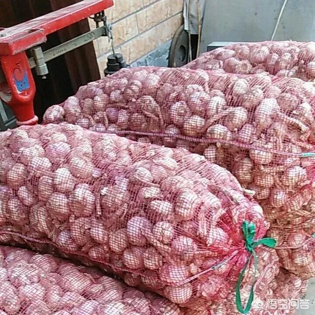 大蒜陆续上市,今年下半年我国大蒜价格会一直突飞猛进吗?