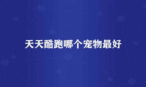 天天酷跑哪个宠物最好