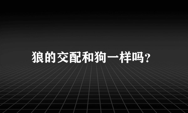 狼的交配和狗一样吗？