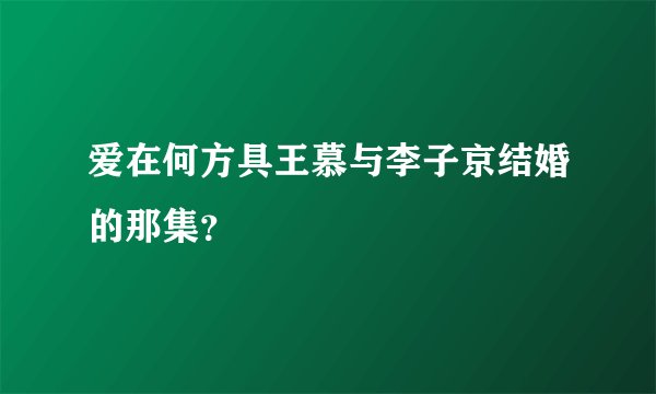 爱在何方具王慕与李子京结婚的那集？