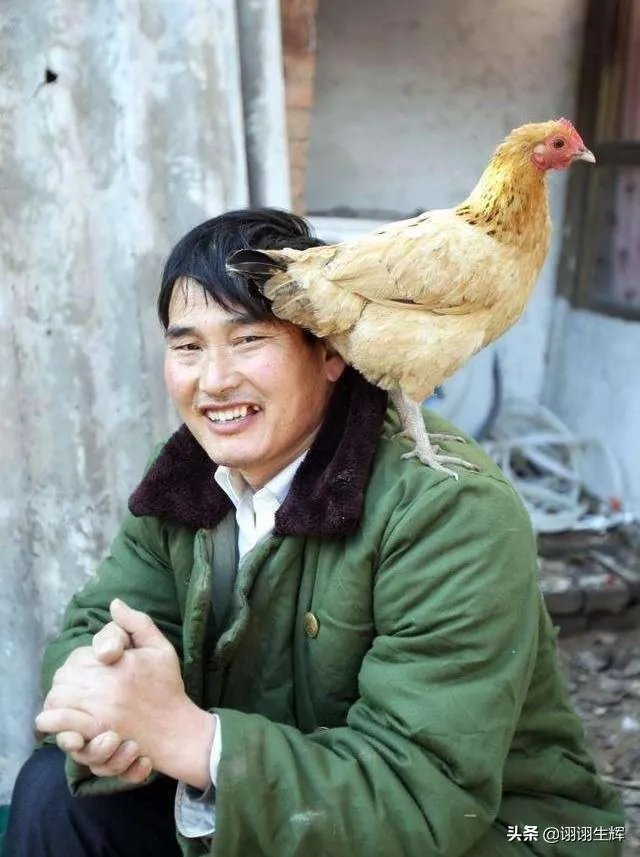 怎么看待朱之文家门被踹？怎么解决这股无赖之风？