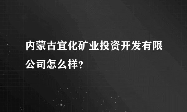 内蒙古宜化矿业投资开发有限公司怎么样？