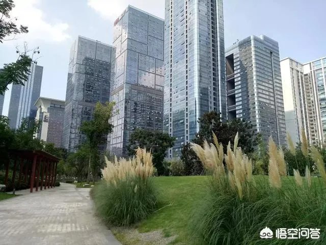 城市总体规划描绘出了一个怎样的成都未来？