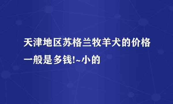 天津地区苏格兰牧羊犬的价格一般是多钱!~小的