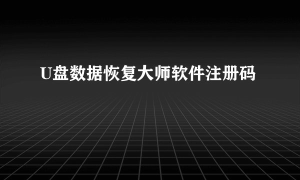 U盘数据恢复大师软件注册码