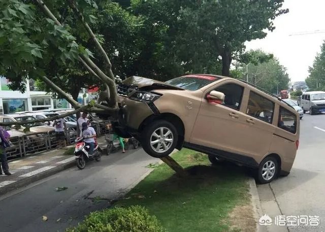 女司机开车“爬”护桥栏杆,下车后先玩自拍,你怎么看?