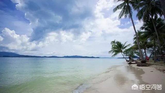 赴泰中国游客是不是“低价团”,泰国人民真的会关注吗?你怎么看?