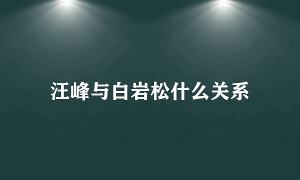 汪峰与白岩松什么关系