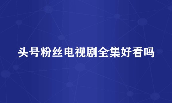 头号粉丝电视剧全集好看吗