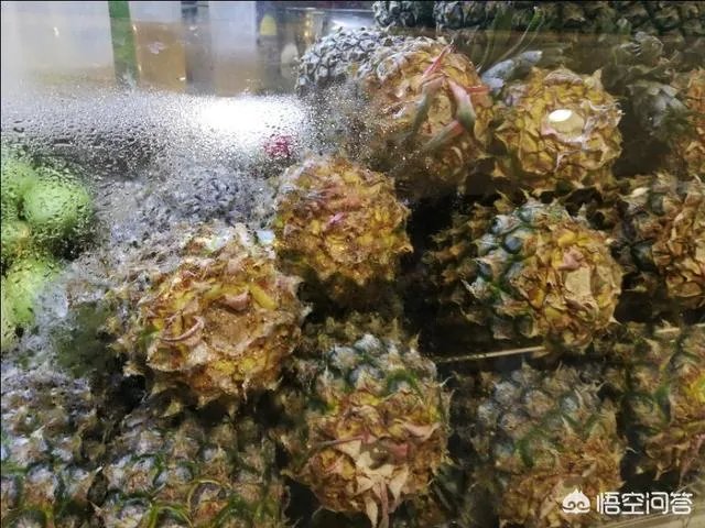 菠萝蜜凤梨菠萝麻