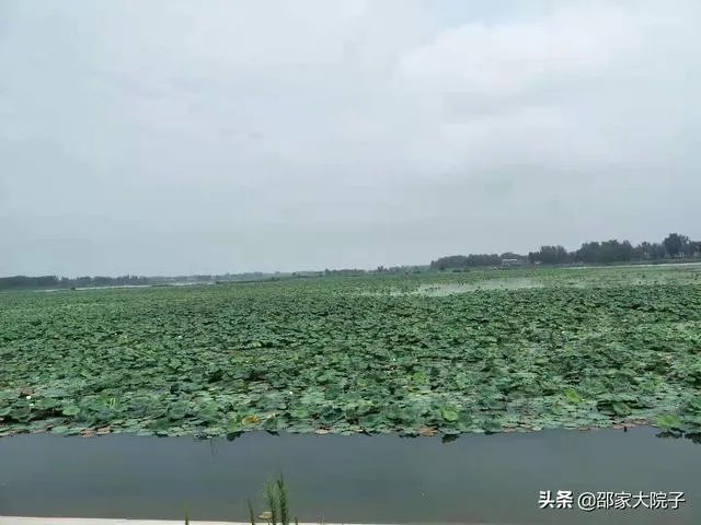 制作水产颗粒饲料都需要哪些饲料加工机械?需要注意哪些步骤?