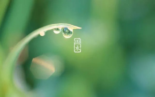 雨水落雨三大碗 大河小河都要满 说的是哪个季节