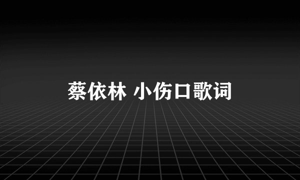 蔡依林 小伤口歌词